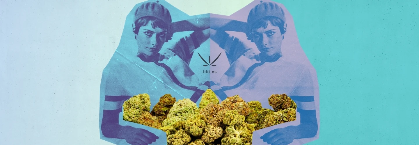banner2